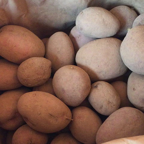 Potatoes, Orla - UK (organic) - 100g