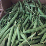 Flat Beans, Spain (organic) - 100g
