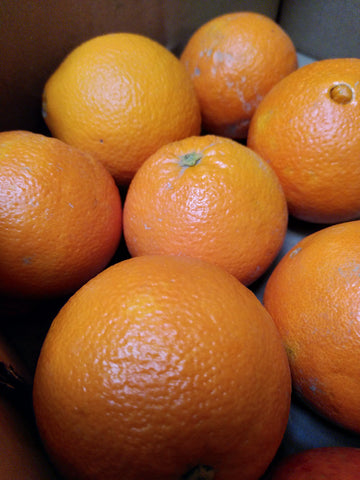 Oranges - Organic, Spain - Each