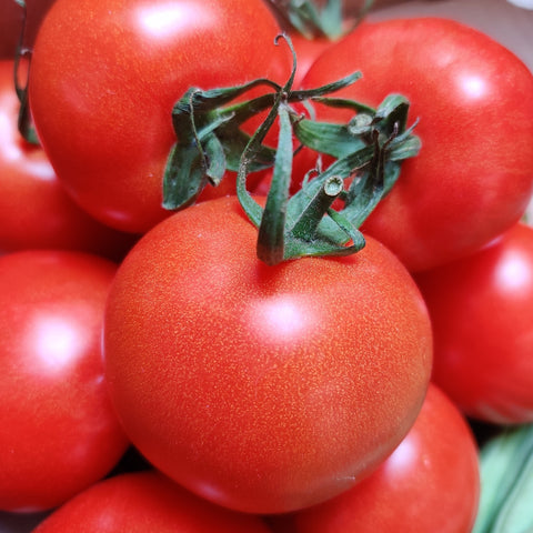 Tomatoes, vine - Spain (organic) - 100g
