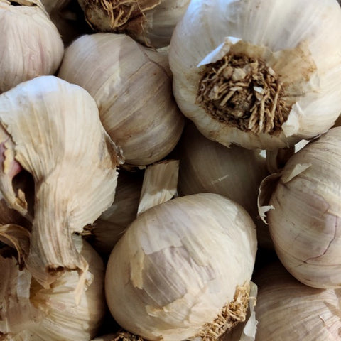 Garlic - Spain (organic) - Each