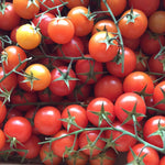 Cherry Tomatoes, Vine - Spain (organic) - 100g