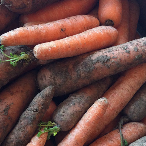 Carrots, unwashed - UK (organic)  - 100g