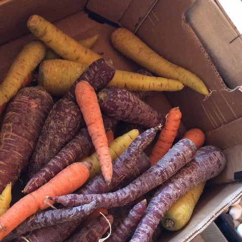 Carrots, rainbow - Suffolk (organic)  - 100g