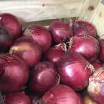 Onions, Red - France (organic) - 100g