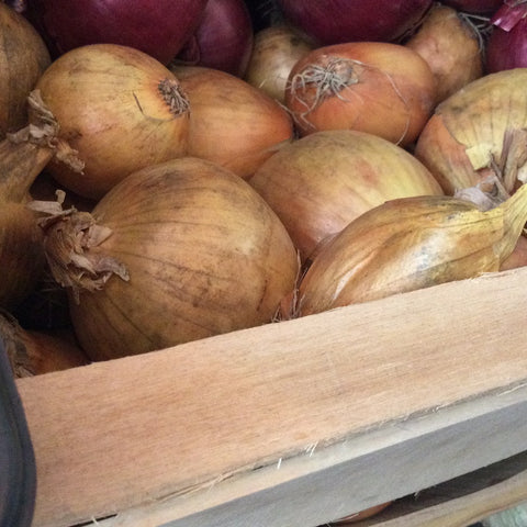 Onions, Brown - Spain (organic) - 100g