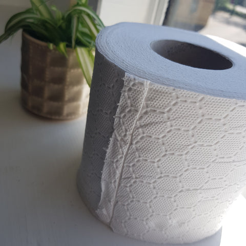 Loo Roll (2 Ply Recycled)