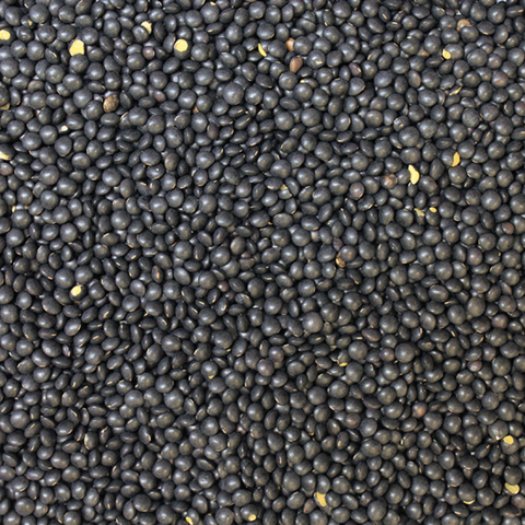 Black lentils - 100g