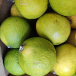 Limes - Organic, Brazil - Each