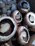 Mushrooms, Flat - Suffolk, UK (organic) - 100g