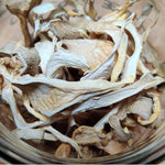Dried Mushrooms - Tree Oyster (10g)