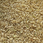 Brown Rice Long Grain - 100g