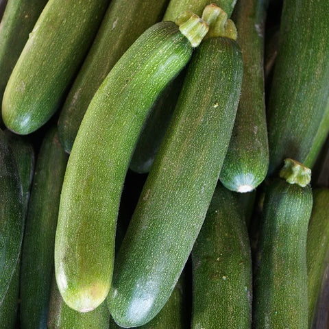 Courgettes - UK (Organic) - 100g