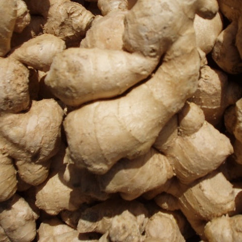 Ginger - Peru (organic) - 100g