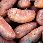Sweet Potato - Spain (organic) - Per 100g