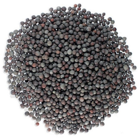 Mustard Seeds (black) - 10g