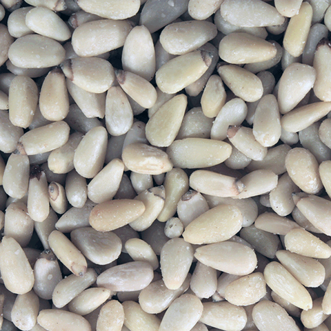 Pine Nuts - 100g