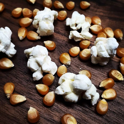 Popcorn kernels - 100g