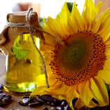 Sunflower Oil - Organic